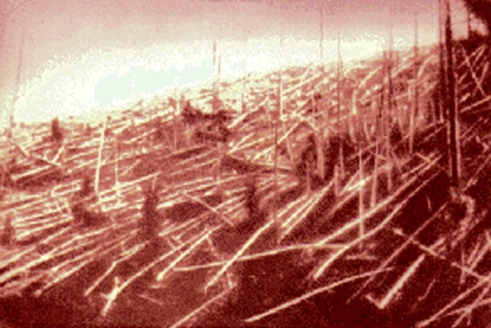 Şekil 2: Tunguska göktaşı patlamasının yıkıcı etkisini gösteren fotograf (wikipedia)