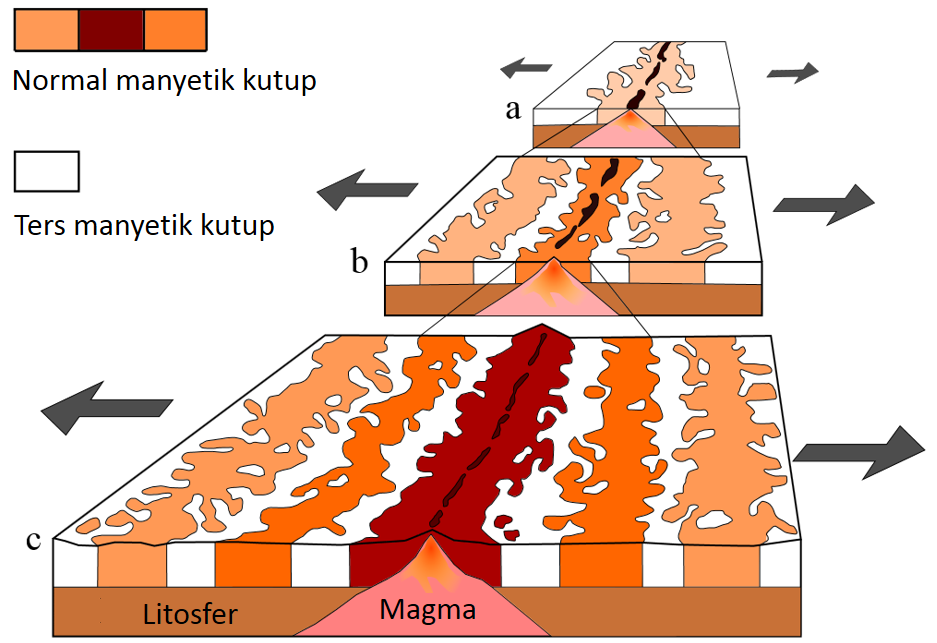 Şekil 4: Okyanus tabanlarında gözlenen farklı manyetik kutupları gösteren kayalar. (Wikipedia)