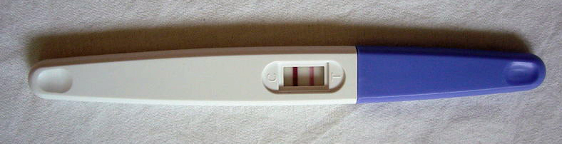 Şekil 3: Yanal Akım Testlerini en bilinen örneği: Hamilelik testi. Sağdaki koyu kontrol çizgisi testin doğru yapıldığına işaret ederken soldaki açık mor çizgi testin pozitif sonuç verdiğini, testi yapan kadının hamile olduğunu gösteriyor. Gözle görülebilir renk değişikliğinin en basit örneği. (c) Wikicommons 