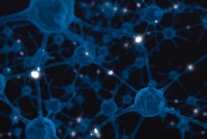 Nöronlar ve sinapsların resmi