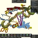 2011 YILININ ARDINDAN