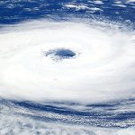 İKLİM DEĞİŞİMLERİ EKOSİSTEMİ ŞEKİLLENDİREBİLİR