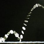 PANİK YOK: Ortalanacaktır!