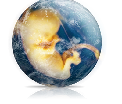 7 milyarıncı insana mesaj!