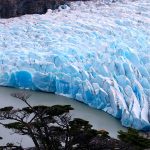 BUZULLARIN ALTINDA YAŞAM