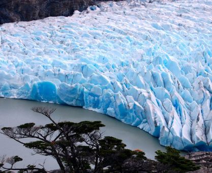 BUZULLARIN ALTINDA YAŞAM