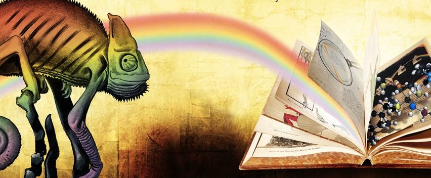 KİTAP: GERÇEĞİN BÜYÜSÜ