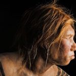 Neanderthal Genom Projesi