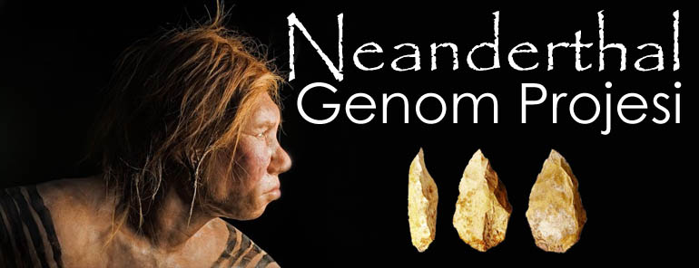 Neanderthal Genom Projesi Neanderthal Genom Projesi