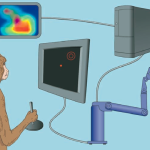 BEYİN-MAKİNE ARAYÜZLERİ