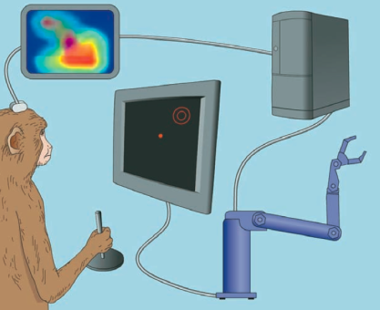 BEYİN-MAKİNE ARAYÜZLERİ