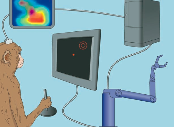 BEYİN-MAKİNE ARAYÜZLERİ