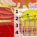 İRTİFAMIZ 10.000 FEET, YEMEĞİMİZ KÖTÜ