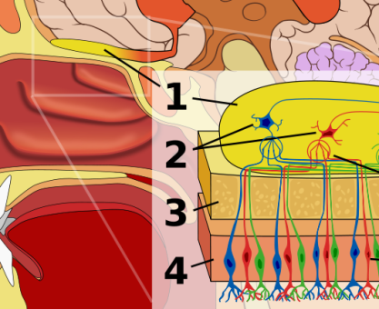 İRTİFAMIZ 10.000 FEET, YEMEĞİMİZ KÖTÜ