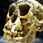 FLORES’İN KÜÇÜK İNSANLARI