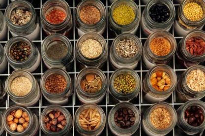 YEDEK DÜNYA: MILLENNIUM SEEDBANK