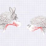 RÜYALAR VE VİDEO OYUNLARI