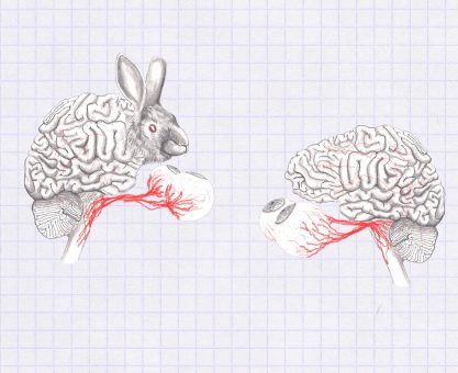 RÜYALAR VE VİDEO OYUNLARI