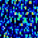 SENİN GENOM KAÇ MEGABAYT?