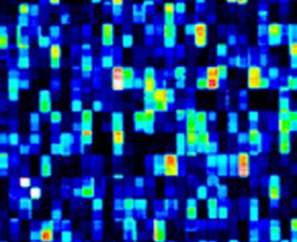 SENİN GENOM KAÇ MEGABAYT?