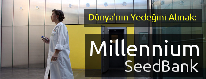 millenniumseedbank YEDEK DÜNYA: MILLENNIUM SEEDBANK