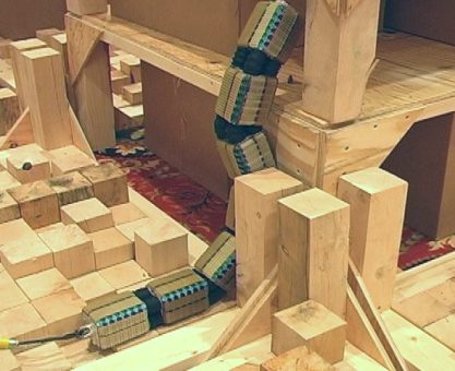 CANLI-TAKLİTÇİ ROBOTLAR 05: SÜRÜNGENLER