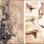 RESSAMLIKTA GİZLENEN BİLİM: LEONARDO DA VINCI