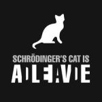 BİR İHTİMAL DAHA VAR KEDİCİK