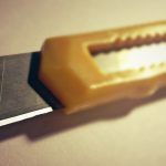 BİR YARA KABUĞUNUN HAYATI - 1