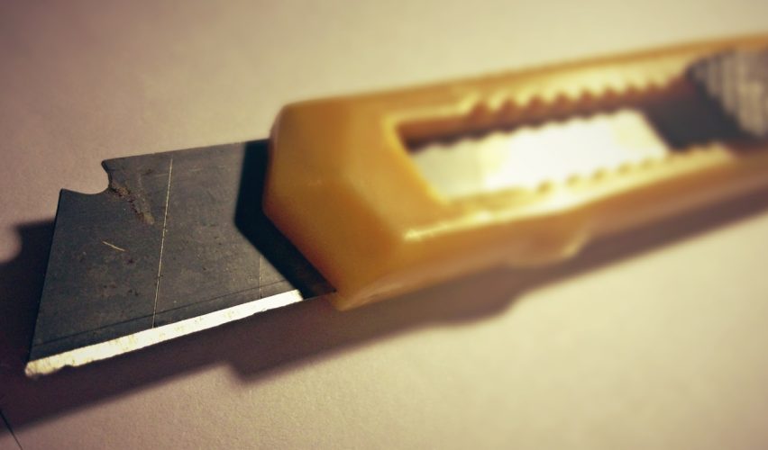 BİR YARA KABUĞUNUN HAYATI - 1