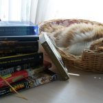 YENİ YIL KİTAPLARI