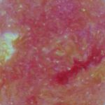 09: TEMBEL GÜNEŞ BİR GÜBRE YIĞINININDAN DAHA AZ ENERJİKTİR