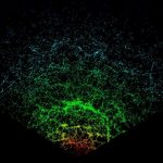 EVRENDE BİR TOZ TANESİYİZ...