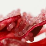 İLKBAHARIN BAŞ BELASI