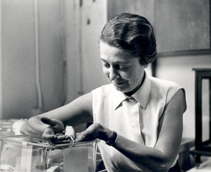 Yatak odasından geçen bir Nobel hikâyesi