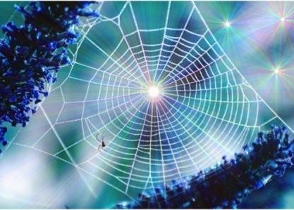 DOĞADAN BİLİME YENİ BİR İLHAM: ÖRÜMCEK AĞLARI