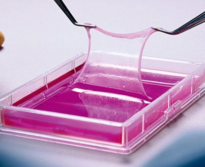 LABORATUVARDAN YARALARIN ÜZERİNE: YAPAY DERİ