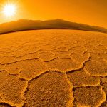 Ağaç Ölürse Herkes Ölür!