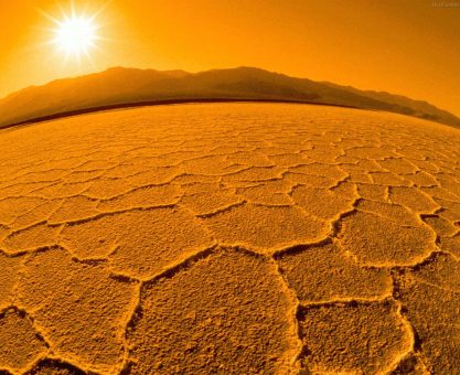 Ağaç Ölürse Herkes Ölür!