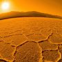 Ağaç Ölürse Herkes Ölür! desert_28