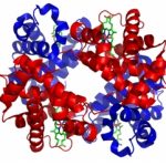 MOLEKÜLER ORİGAMİ: PROTEİN KATLANMASI