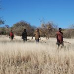 Yemek Buldun Gez, Dayak Buldun Kaç: “Lévy Yürüyüşü”
