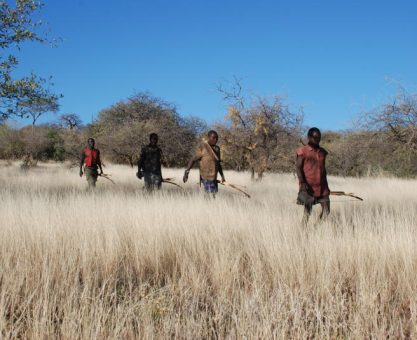 Yemek Buldun Gez, Dayak Buldun Kaç: “Lévy Yürüyüşü”
