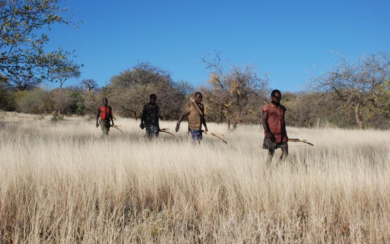 Yemek Buldun Gez, Dayak Buldun Kaç: “Lévy Yürüyüşü”
