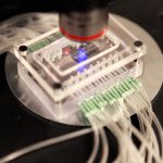 Purdue Üniversitesi araştırmacılarını geliştirdiği minyatür laboratuvar.