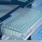 Yüzde Sıfır Faizle Biyolojik Bankacılık