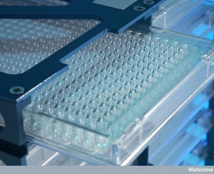 Yüzde Sıfır Faizle Biyolojik Bankacılık