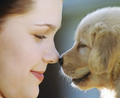 STRES DÜZEYİ: "EVCİL"