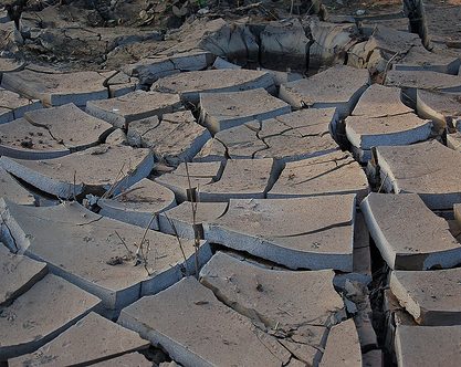 Milyar Milyar Yıl Sonra....