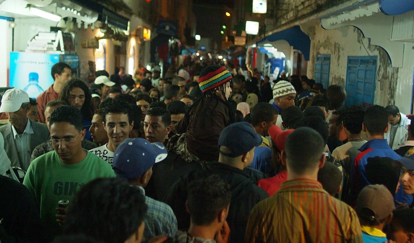 SÜRÜLERİN VE KALABALIKLARIN HAREKETİ